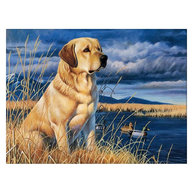 diamond painting golden retriever